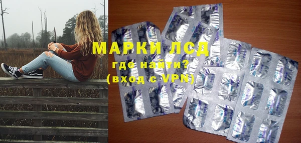 хмурый Арсеньев