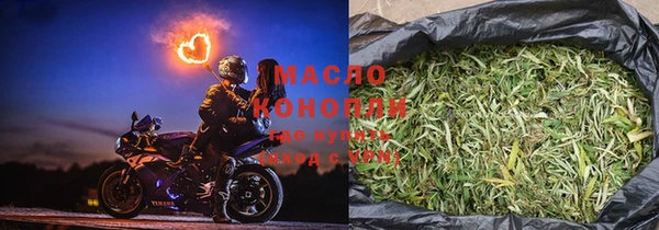 хмурый Арсеньев