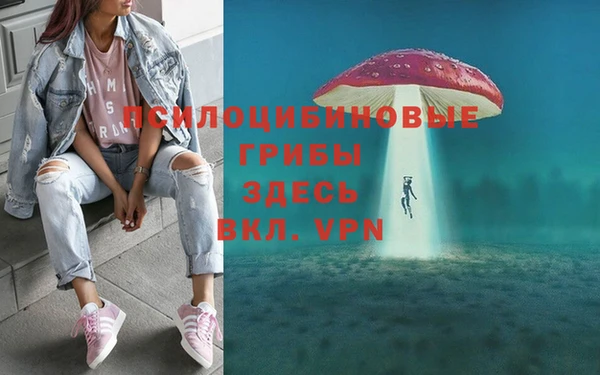 соль ск Балабаново