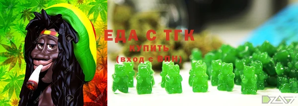 хмурый Арсеньев