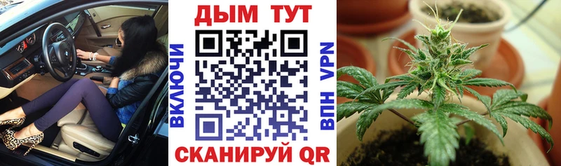 Канабис сатива Кукмор